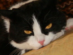 DSC00193
