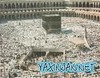 images[13]