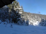 фото в жабе не обработана