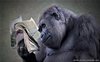 Нуб выбил первую книгу на 1е сентября