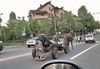 Прицеп в катах