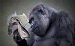 Нуб выбил первую книгу на 1е сентября