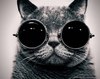 котэ-Лепс = )