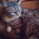 Королевна моя :)