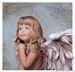 38525838_Kopiya_kb_Noel_NancyMercy