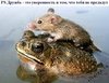 Что за лягушка к попе прилипла? оО