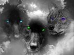 4680c017a977d3c5b16cb210d42f4d15