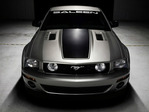 9317714_mustang