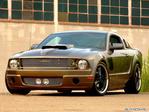 Mustang Stallion by Chip Foose _2006.jpg