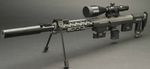 dsr1-308-3