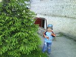 DSC00208