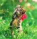 Sweet :))))) 