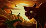 angry_cat_59665