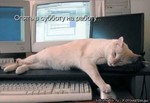 1218261458_9e09968872bf87a658bcc4bb13ec72df_full[1]