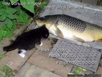 1218261441_7ed8ccfbe88648d2f9be918ccbebbca3_full[1]