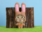 1206426232cats_620[1]