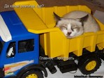 1218261432_49db8a5d5d0adb66af63d8df4891fd5b_full[1]
