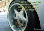1223930915_na_yug[1]