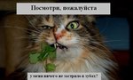 1200917960_37[1]