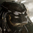 quiz-predator[1]