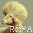 Merinos