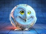vetton_ru_24[1]