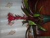 DSC00787