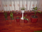 DSC00694