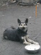 IMGP0115.JPG