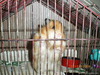 IMGP0028