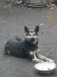 IMGP0115.JPG