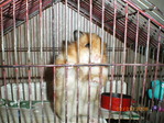 IMGP0028