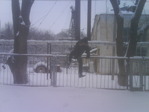 через забор
