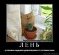Прикол (598)