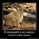 788012_i-nikakoj-ya-ne-manul