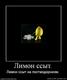 952921_limon-ssyit