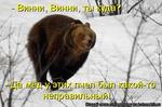 медвед