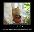 Прикол (598)