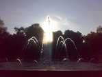 21062009280