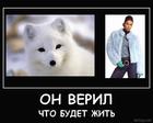 berloga.net_1404061174