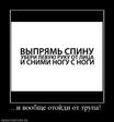 Прикол (1392)