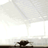 avatar_204703.gif