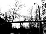 (e)SP_A0458