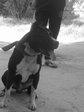 11062010428