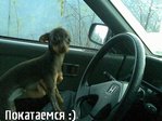 МАСИЧЕК