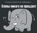 Слоны