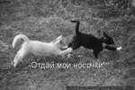 СиСтрРрРрРрррь=)))))))