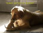 Тиле-Тэкиле=))))))бзякаю типя мась