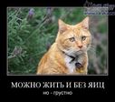 1243489874_druzba_00001