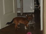 DSC02035